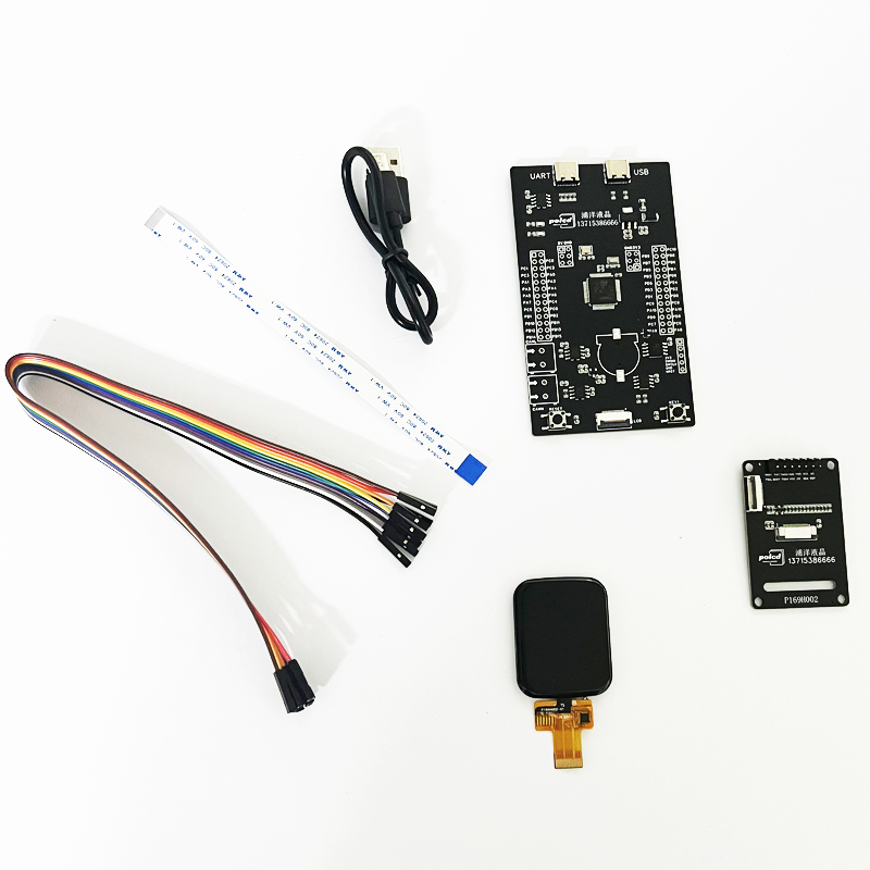 Polcd 1.69 인치 LCD 화면 PCB 인쇄 회로 보드 디자인 및 PCBA 조립 보드
